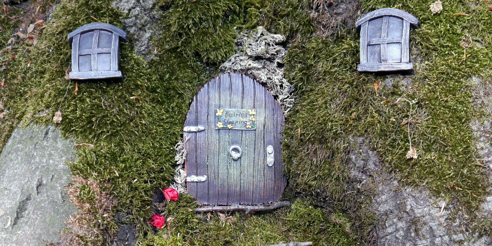 Feentür, Eingang ins Reich der Waldfee